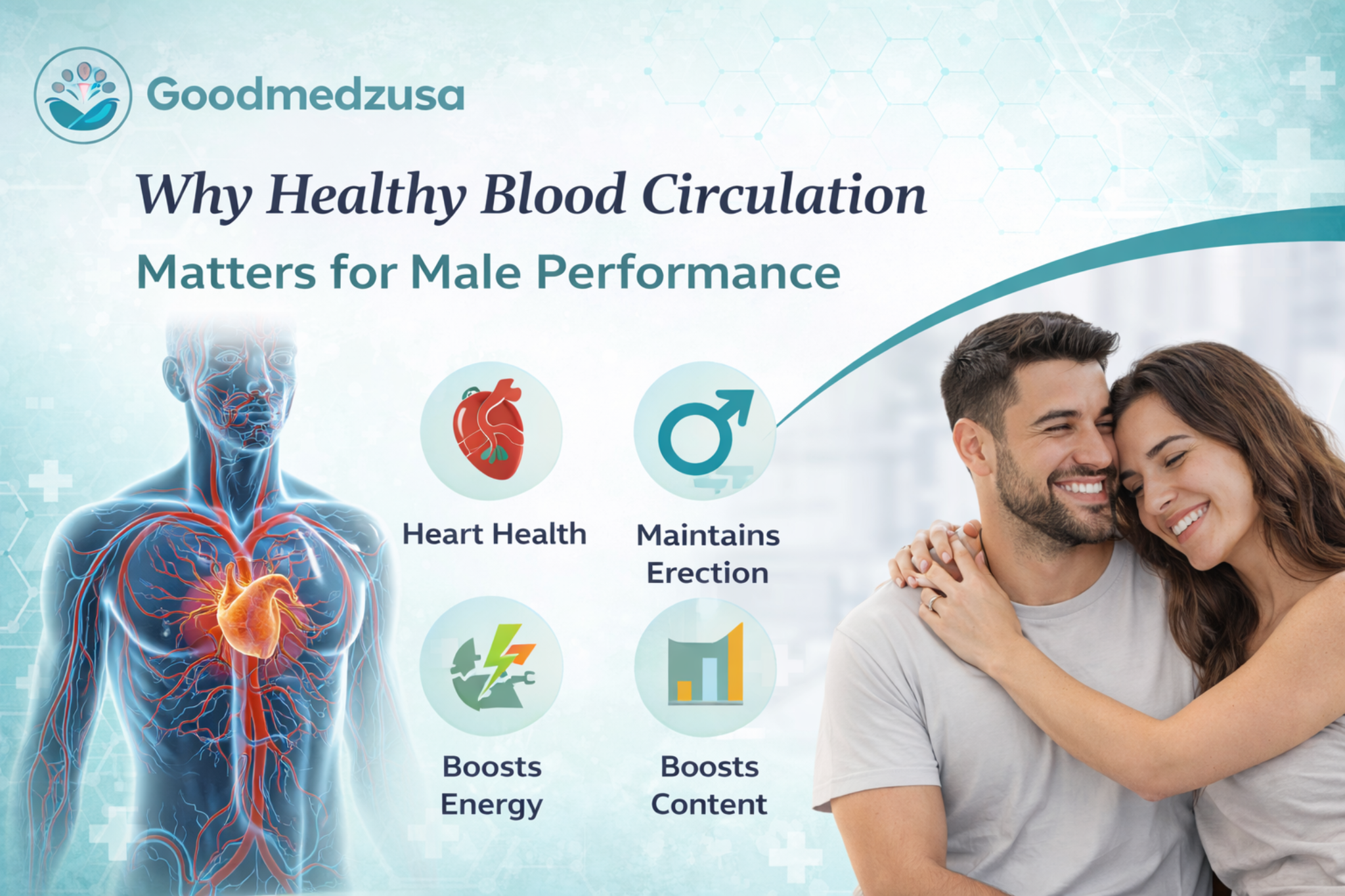 Illustration showing how healthy blood circulation supports heart health, energy, and male performance.